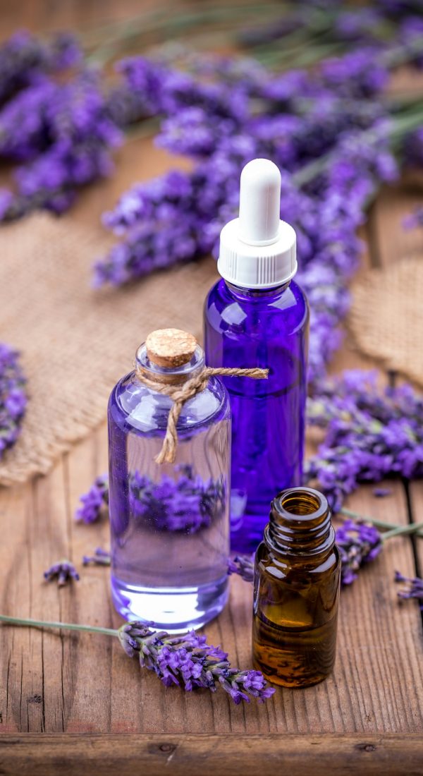 Lavender flowers and essential oils